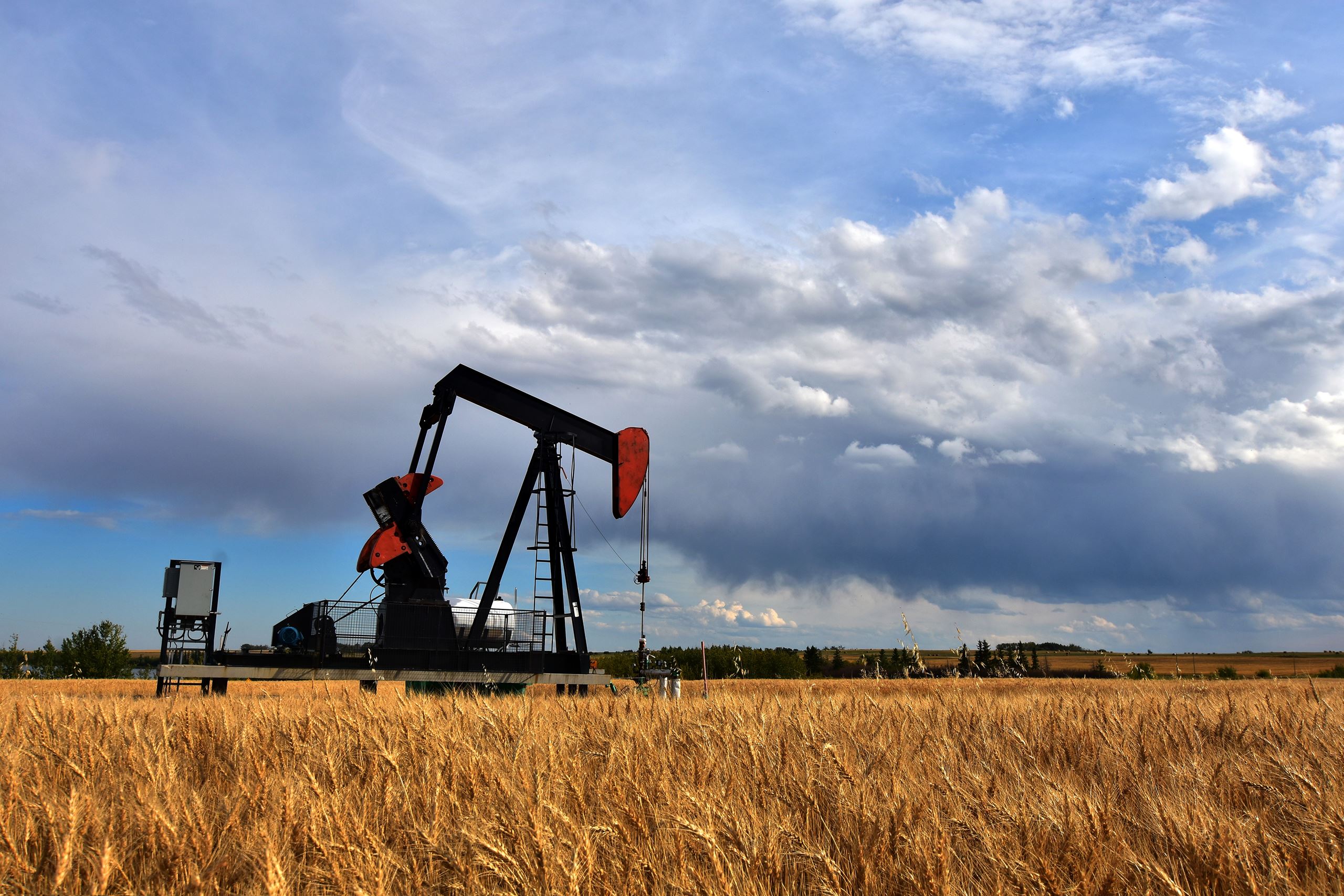 Oil drill in the middle of a field.